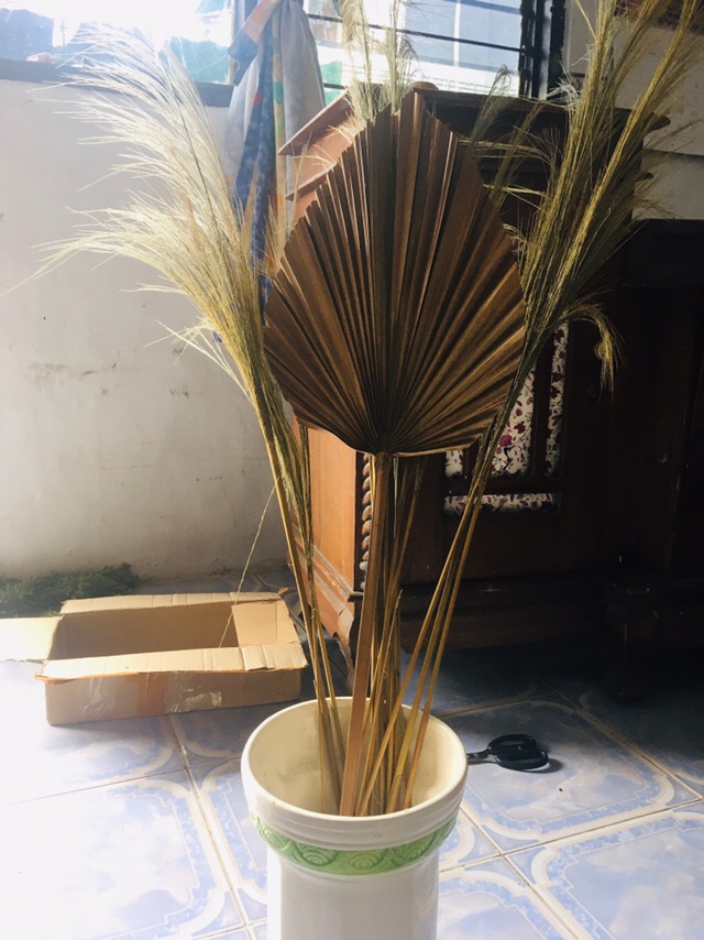 Cod.pampas.ilanglang Kering.decorasi Rustik.rayung.gelagah Kering