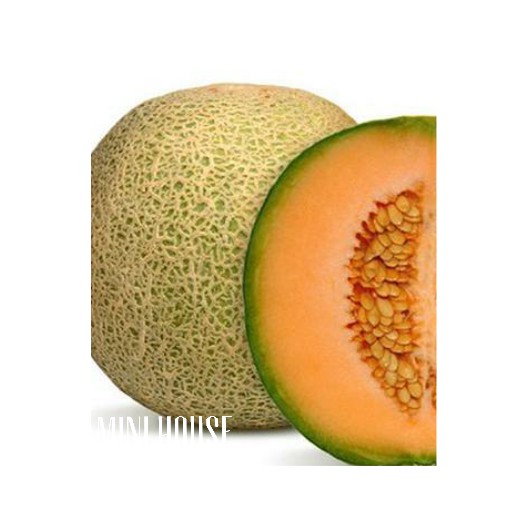 BIJI BENIH BIBIT MELON MADU MANIS BANGET