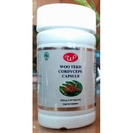 COD -Cordyceps Kapsul BPOM -Obat paru dan ginjal, Isi 30 Kapsul per Botol, obat sesak nafas covid-3