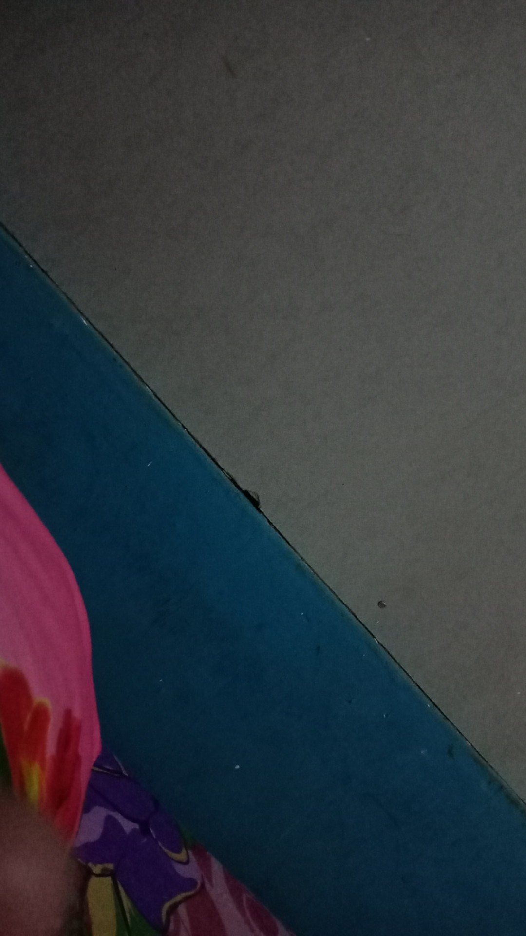 Seni Bonsai Indonesia