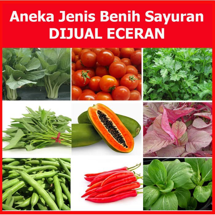 Paket Benih Tanaman Sayuran 30 Macam Bibit Tanaman Sayuran Kemasan