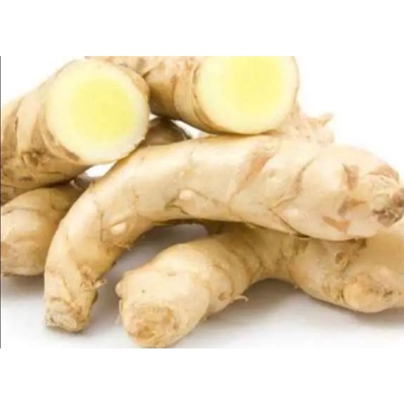 

Temu putih segar 1 kg herbal fresh