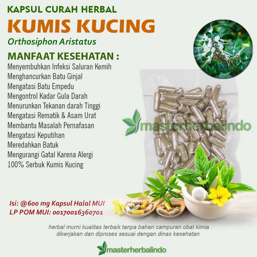 

Kapsul Curah Herbal KUMIS KUCING 200x600 mg Infeksi Saluran Kencing Ginjal