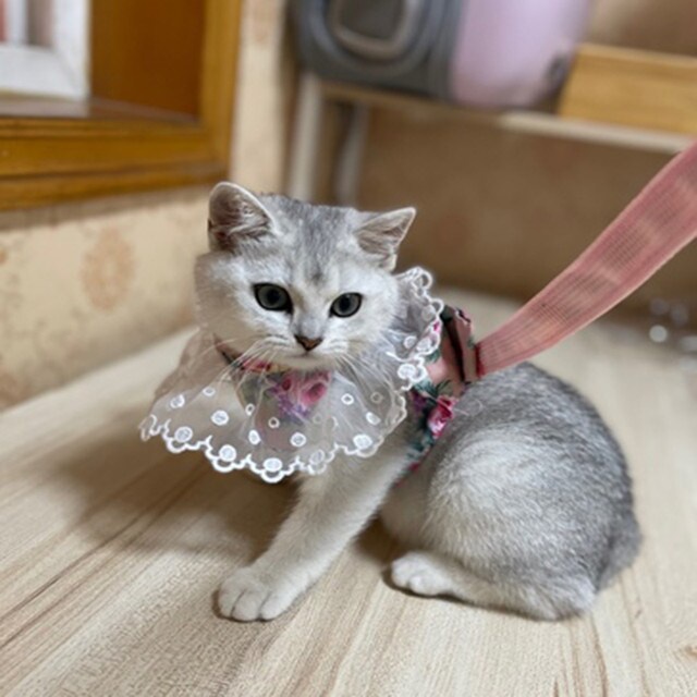 Tali Tuntun Kucing Anjing Betina / Harness Baju Premium Anjing Kucing/ Pet Harness Vest Cute Dog Cat