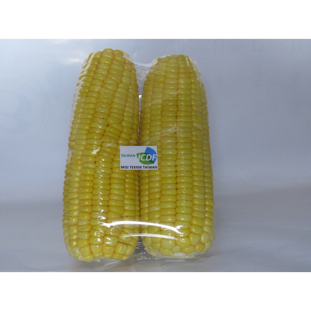 

Jagung manis LAIC 500 gram
