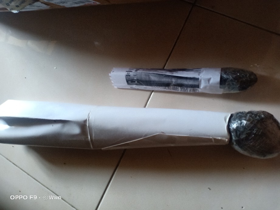 Tanaman Hias Chalatea Tisu White Fision