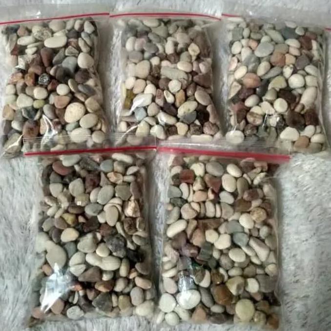 Bestseller Batu Alam / Batu Penghias Pot