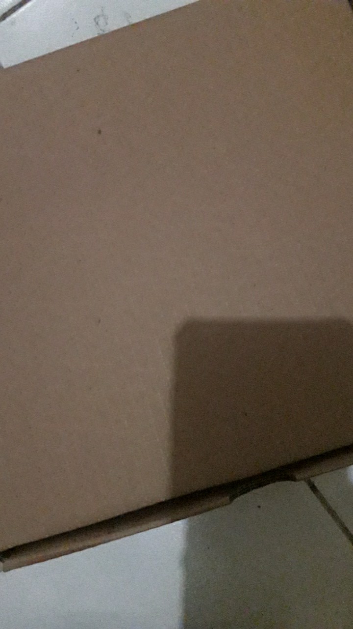 Kardus 22x22x7.5 Dus Pizza Pakaian Baju Kue Wajib Bubble Wrap Kalau Mau Aman