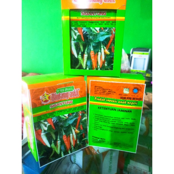 BENIH CABE RAWIT SIGANTUNG BINTANG ASIA