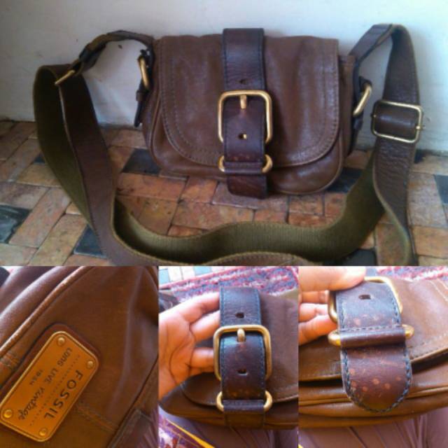 Tas fossil emory original