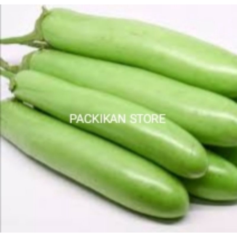 

Terong Panjang Segar Dan Bergarasi 500 g
