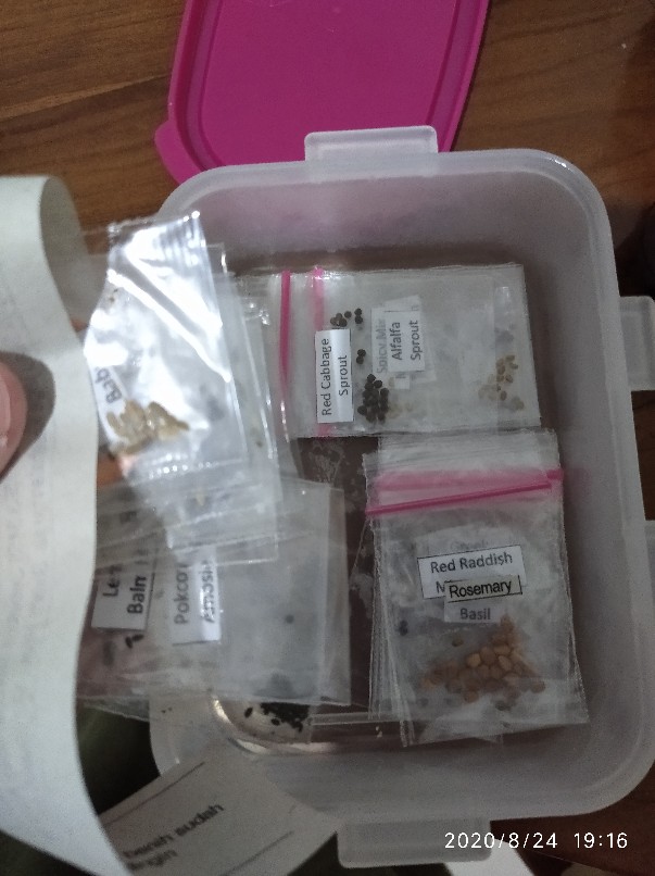 Lt7/5 - Benih Bibit Unggul Kemasan Seribuan Selada Grand Rapid Pearl Gem Indo Seed Enza Zadden