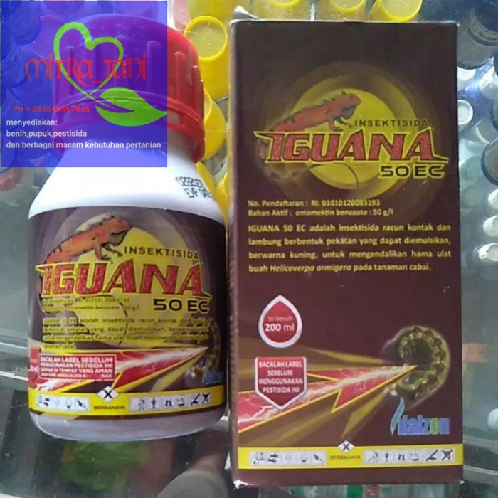 Insektisida kontak lambung IGUANA 50EC isi 200ml dari DALZON