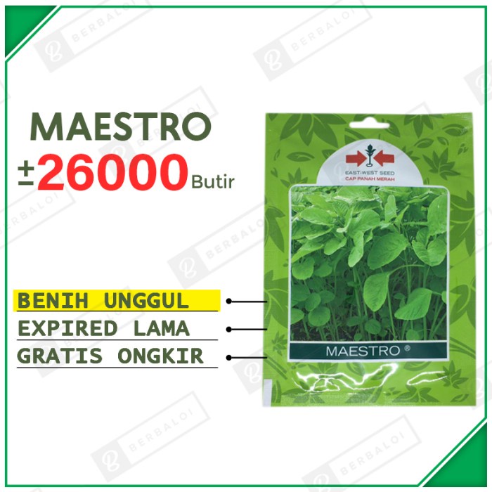 Maestro Benih Bayam Cabut Unggul Bibit Bayam Potong Hibrida SP