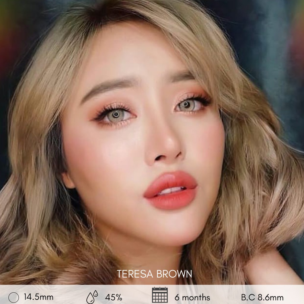 SOFTLENS TERESA BROWN / SOFTLENS MINUS / SOFTLENS DREAM COLOR
