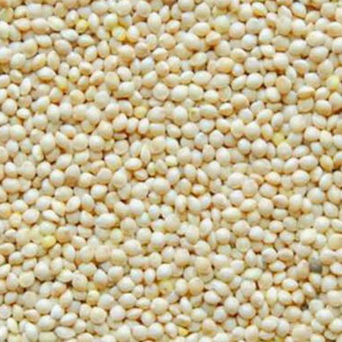 

GRATIS ! Milet putih kiloan merk vita ( white millet )