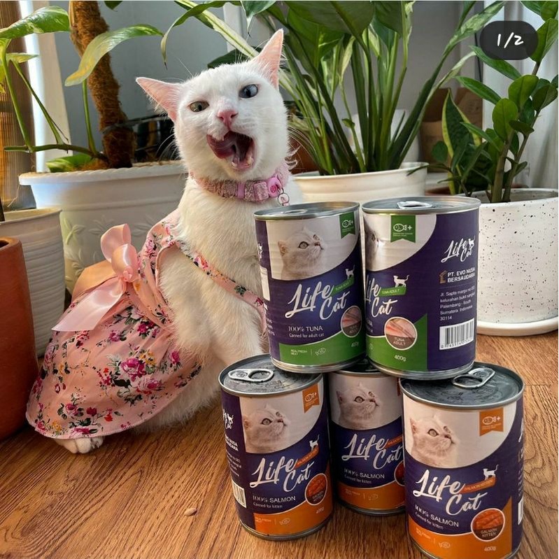 life cat wet food/makanan kaleng