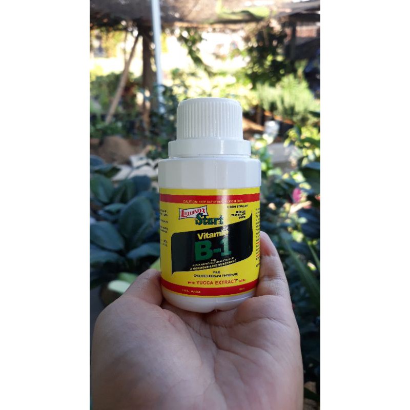 Obat Vitamin B1 Tanaman / Liquinox Start