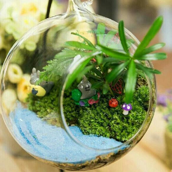 |Terbaru| Pot Terrarium Vas Terrarium Aquarium Kaca Mini Fairy Garden Miniature |Promo