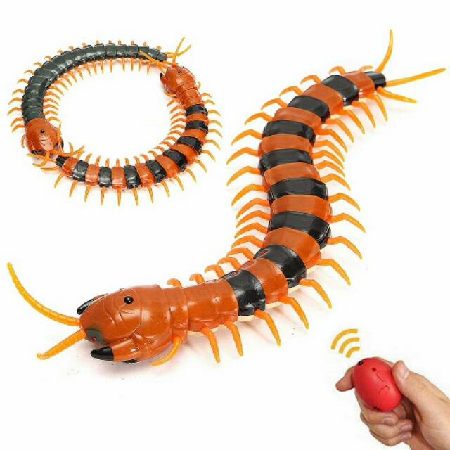 RC ANIMAL KELABANG LIPAN MAINAN REMOTE TERLARIS KEKINIAN KADO KESUKAAN ANAK ANAK