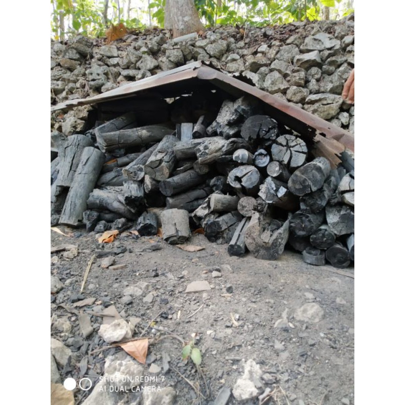 Arang Kopi Jos Kayu Jati Murni