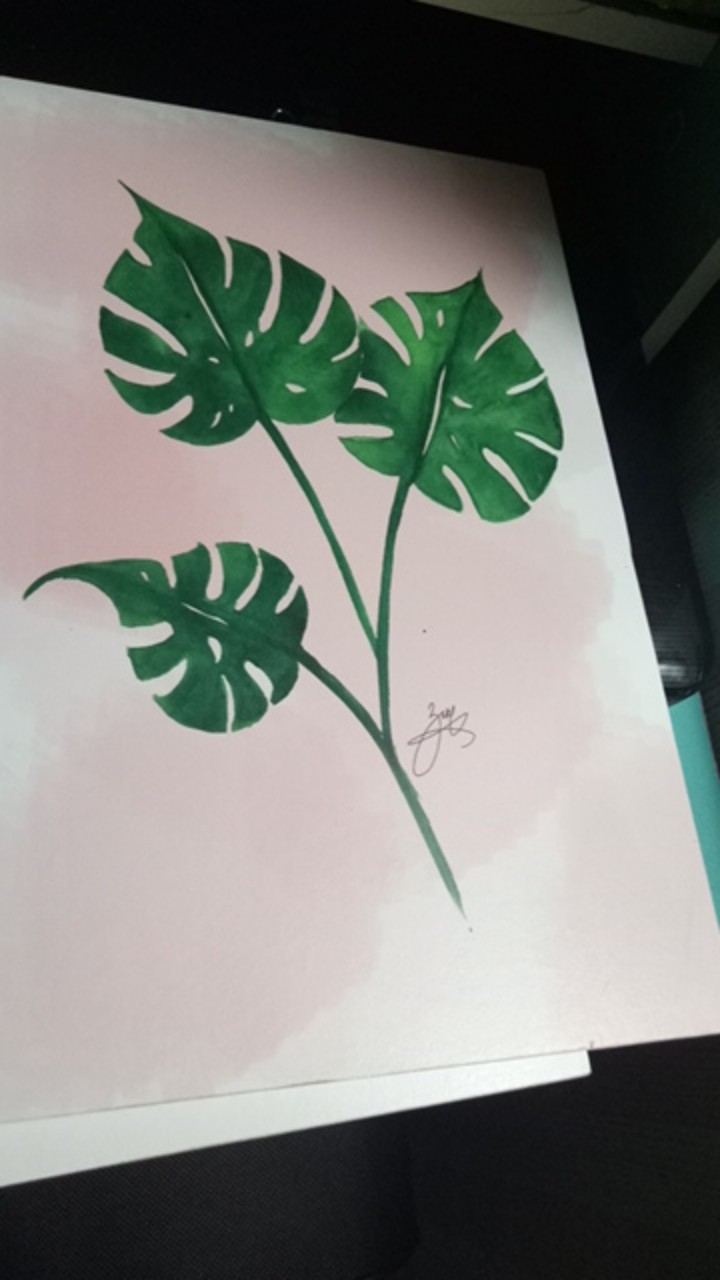 Wooden Projects Wall Decor Hiasan Pajangan Dinding Daun Monstera Tropical - Tmc2