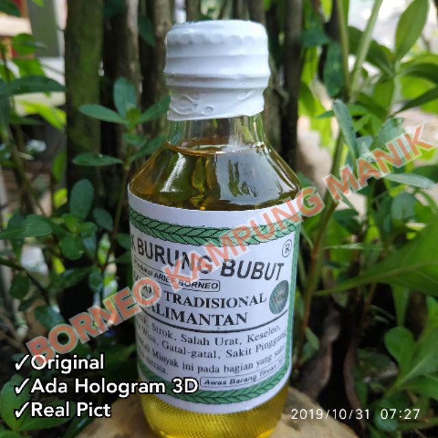 Minyak Gosok Burung Bubut Asli Kalimantan Shopee Indonesia