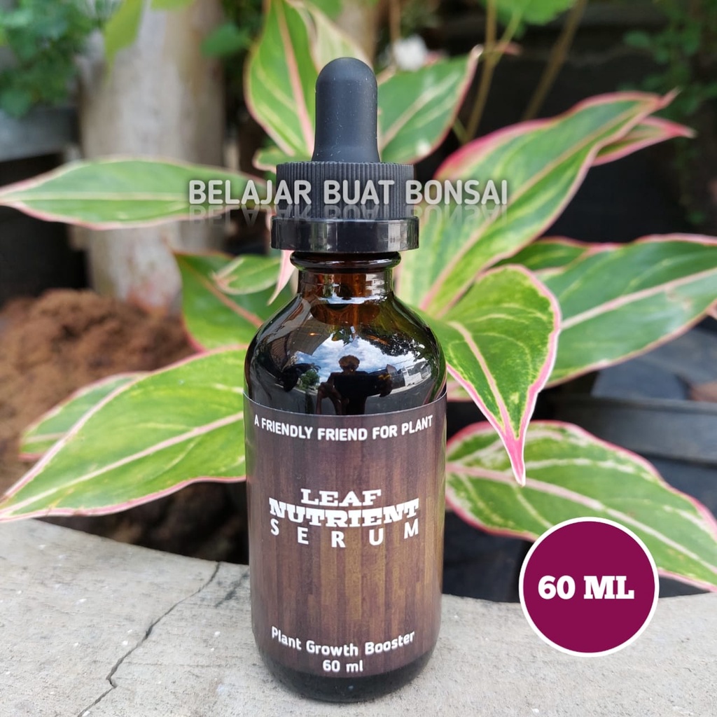 Pupuk Nutrisi Daun 60 ML Leaf Nutrient Serum Plant Food