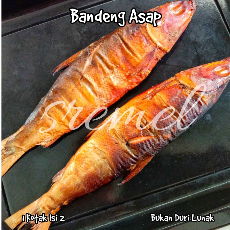 Ikan Bandeng Asap Vacum Perkotak Isi 2