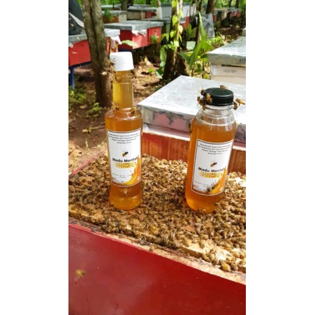 

Madu Multiflora [500gr] - Mentah - Asli - Murni 100%