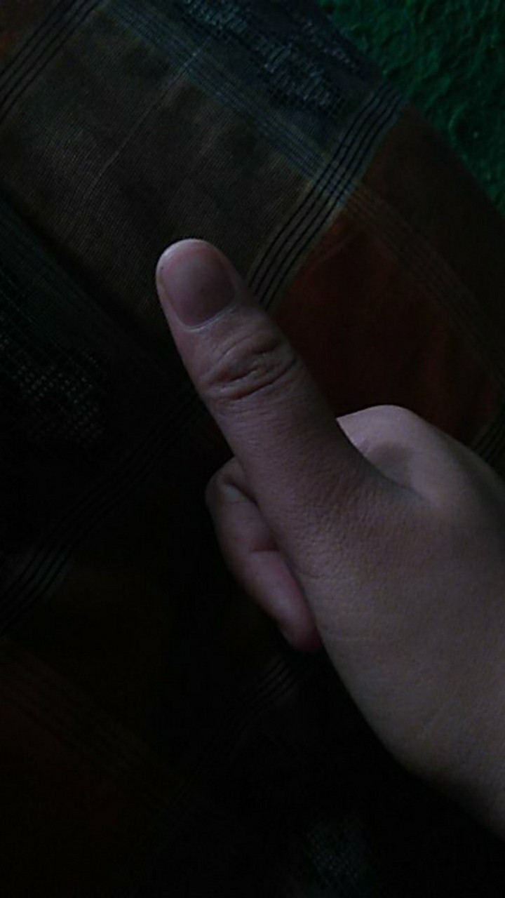 Kemeja Batik Pria | Naga Sogan By Batik Florist