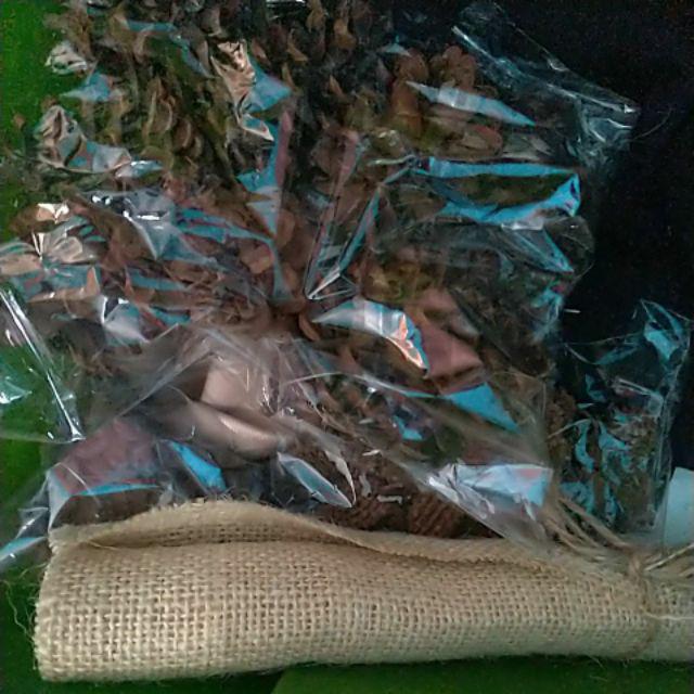 Biji Kopi / Properti Foto Biji Kopi