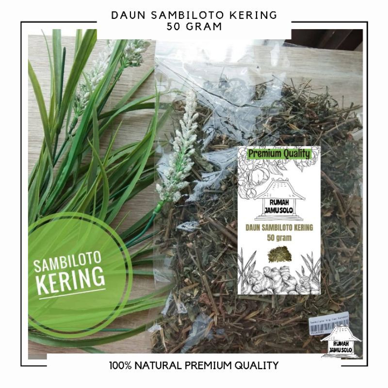 

Daun sambiloto kering 50 gram