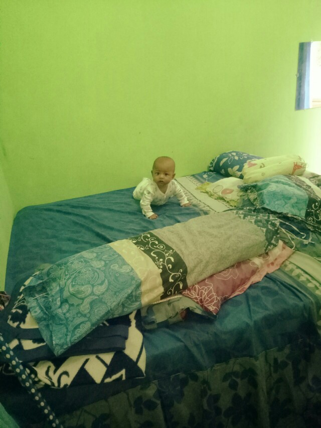 Sprei Ladyrose 180x200 Dan 160x200 Sprey Lady Rose Spray Lady Rose