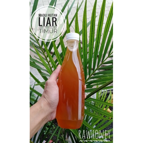 

madu hutan liar / raw honey 500ml