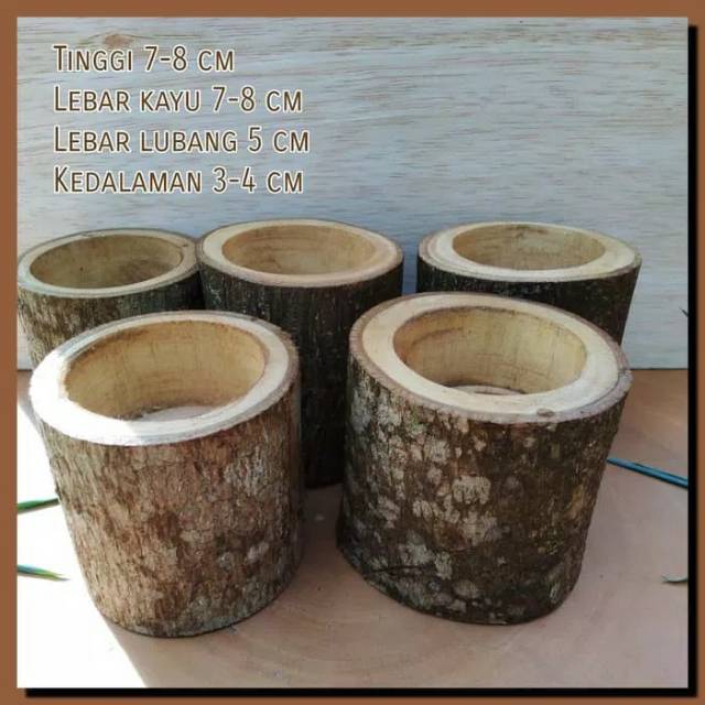 Natural wood log planters succulent pot vas bunga kayu kaktus