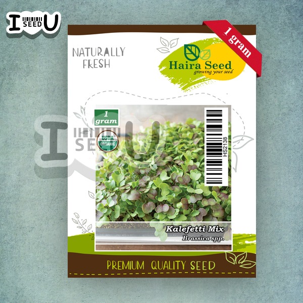 Bibit-Biji Microgreen Kalefetti Mix Organik (Haira Seed)