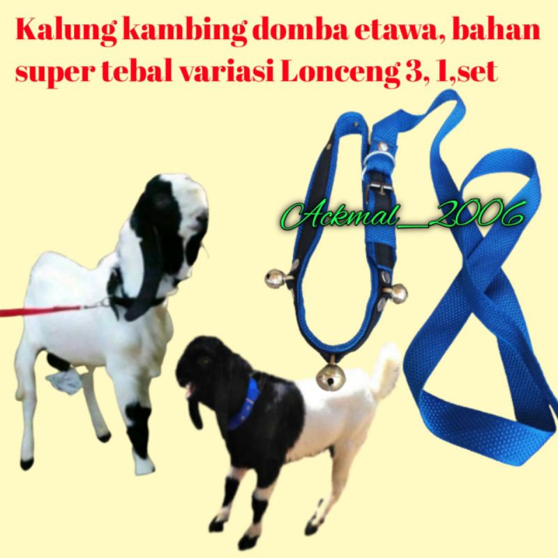 Aksesoris kalung kambing dan domba variasi lonceng 3+tali tuntun/COD