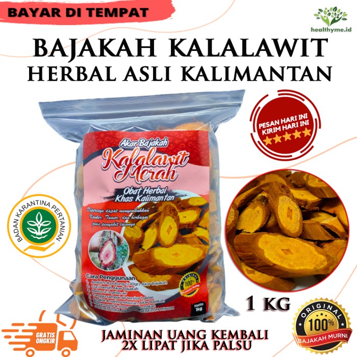 

Akar Bajakah Merah Kalalawit Asli Kalimantan 100% ORIGINAL - 1 KG