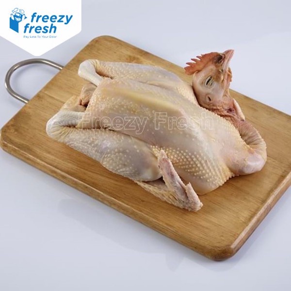 

Ayam Pejantan Premium uk 06-07 per ekor