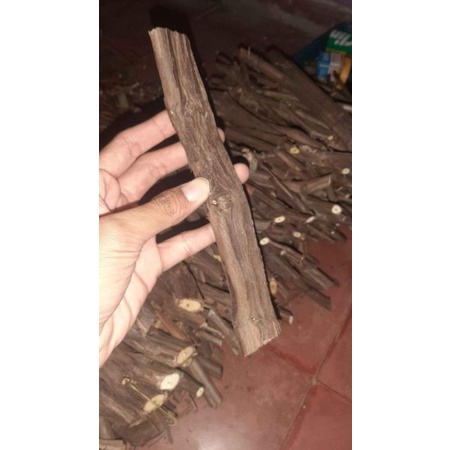 cutting anggur red master