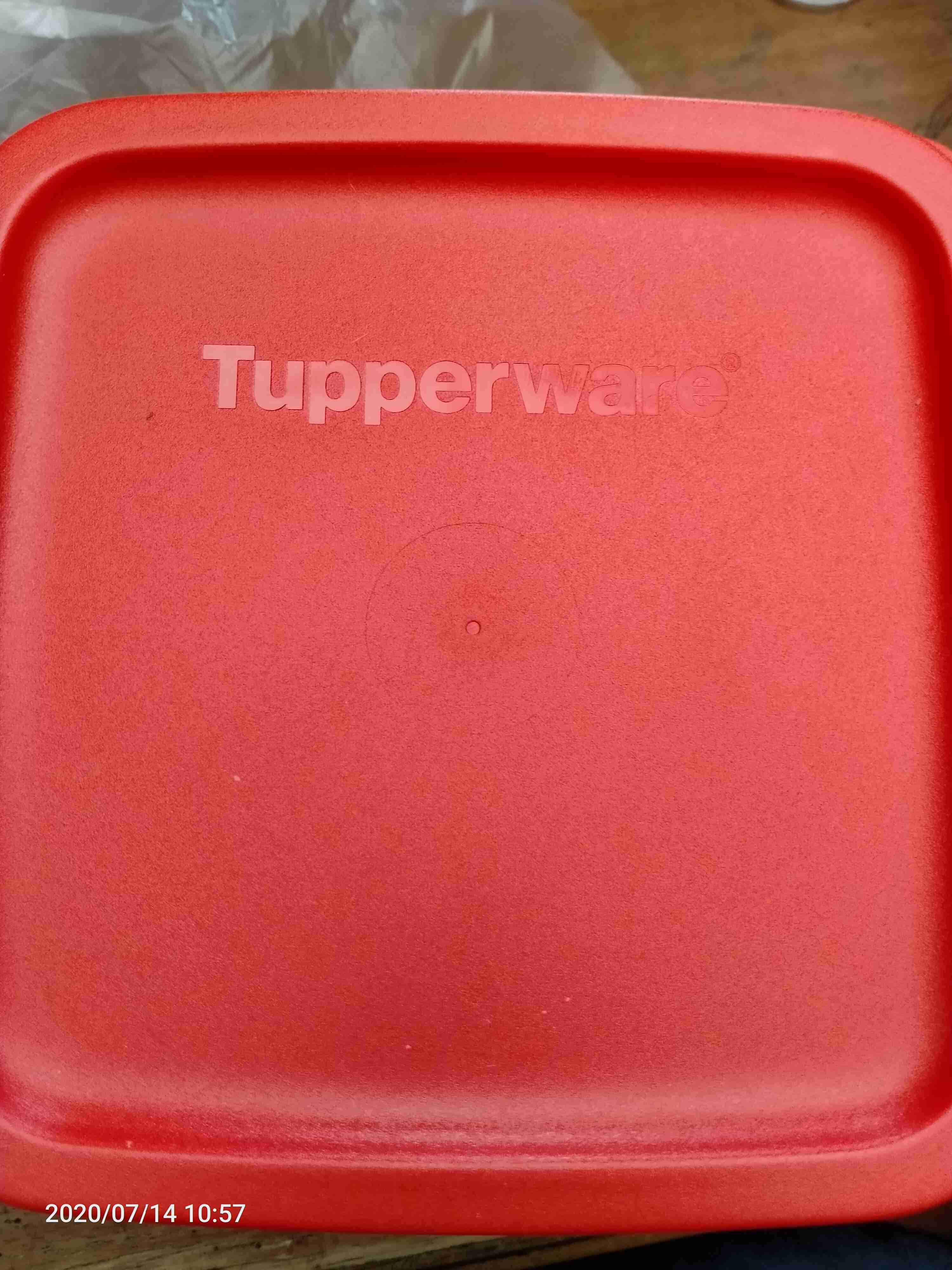 Small Summer Fresh Ecer