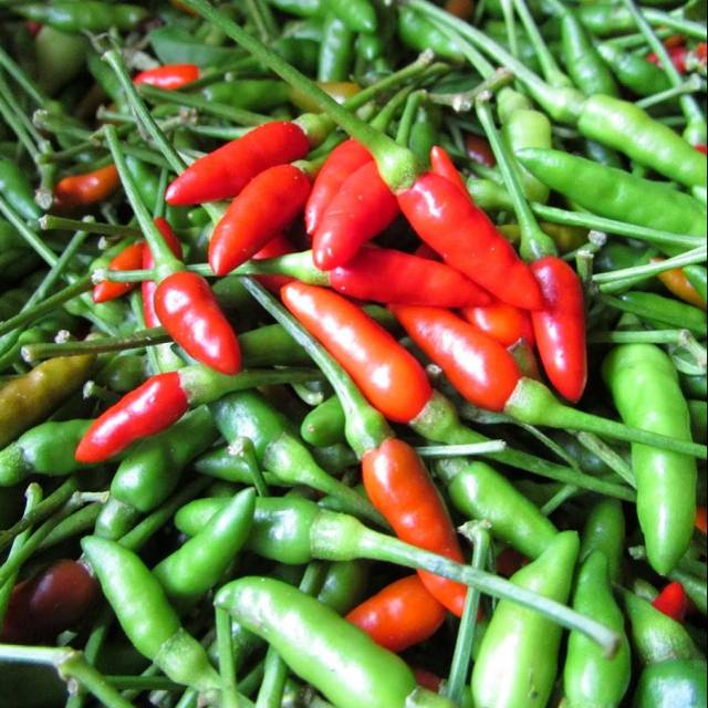 

Cabe rawit / cengek mix 250