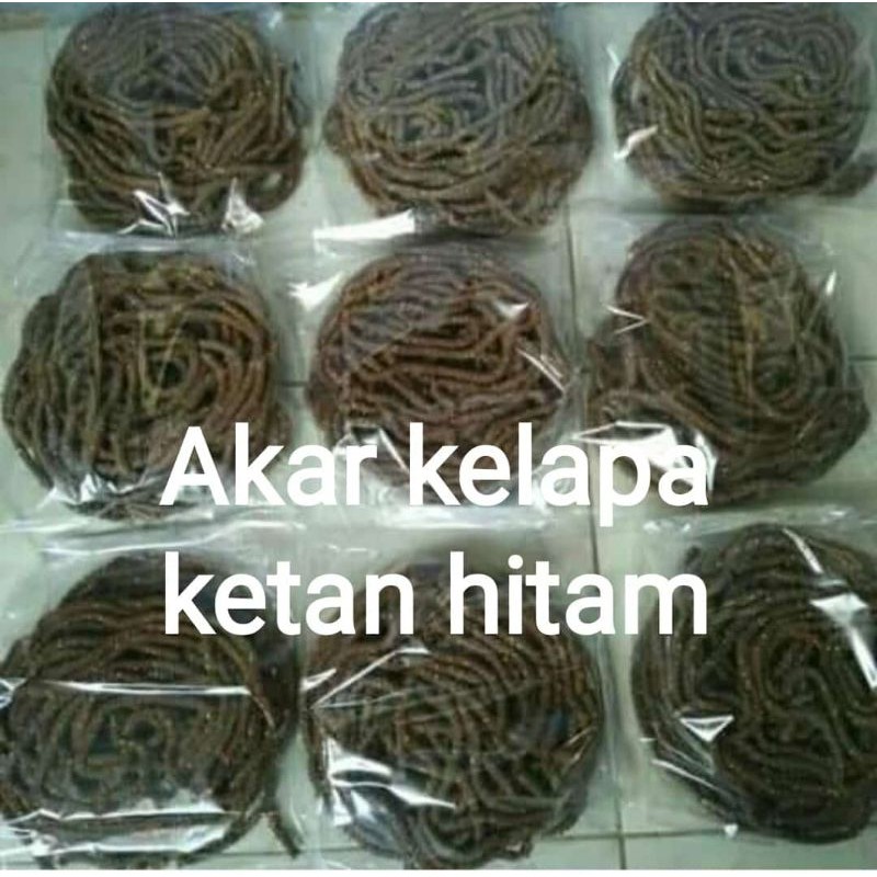 

akarkelapa