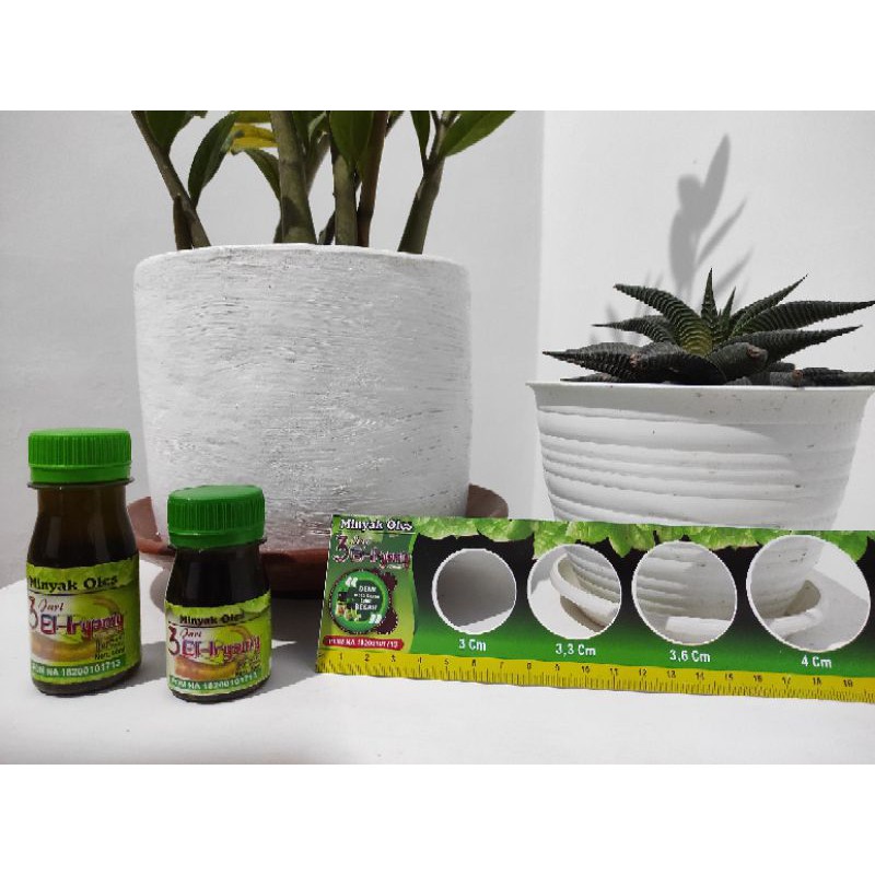 Minyak Oles El Iryaniy Hercules 50ml BPOM