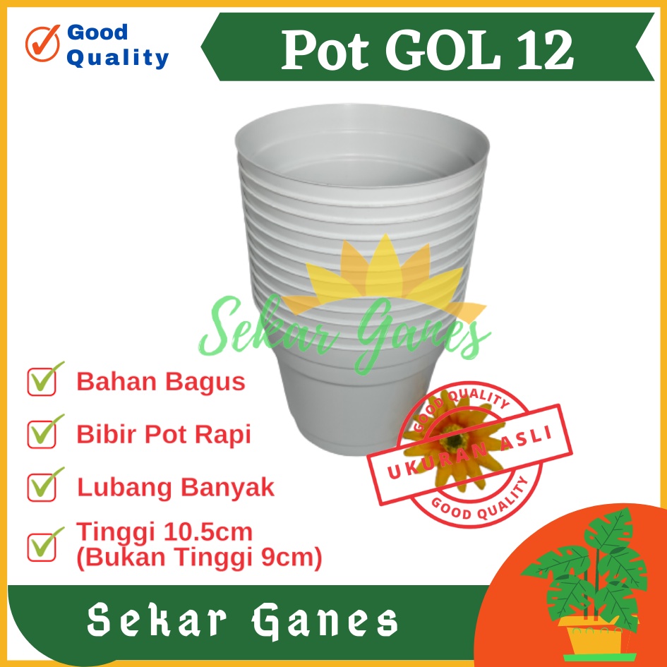 Sekarganes Pot 12 Putih Polos - Pot 12 Cm Putih Kecil Mini Minimalis Plastik Kaktus Sukulen Mini Murah Pot Bibit Pembibitan