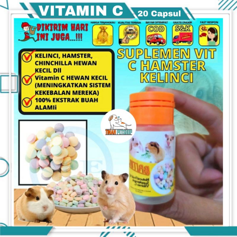 Vitamin C Kelinci Hamster Chinchilla Guinea Pig