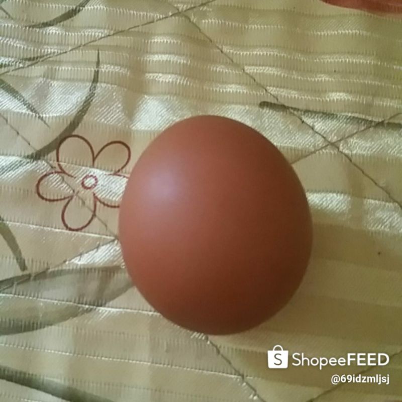 

telor asin