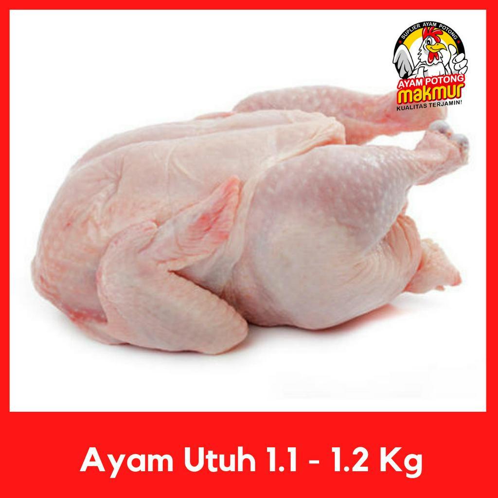 

Ayam Broiler Karkas 1.1 - 1.2 Kg