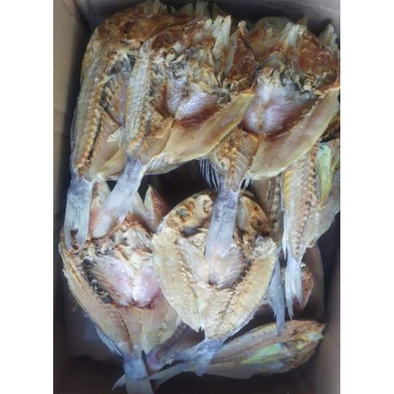 

Ikan Asin Kakap Putih 500 Gram